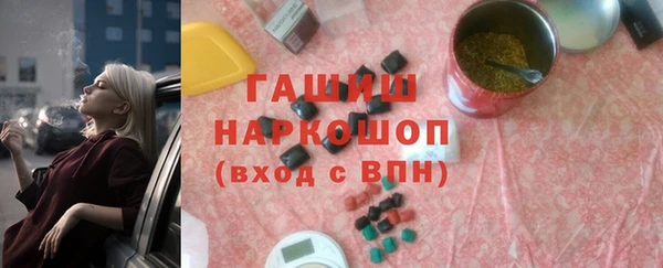 индика Беломорск