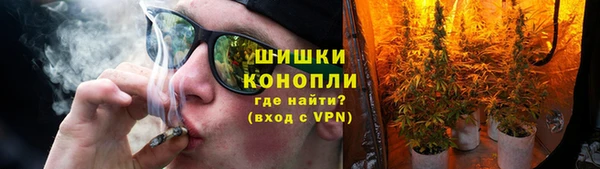 индика Беломорск