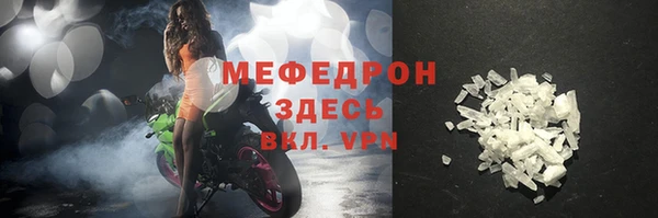 индика Беломорск