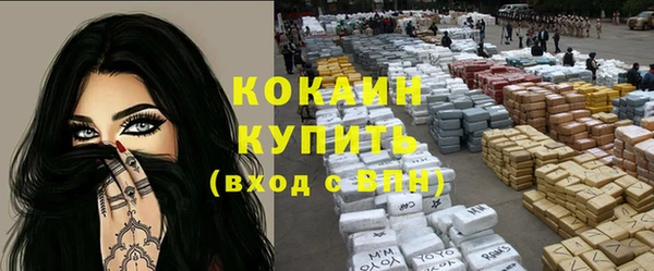 индика Беломорск