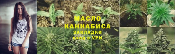 индика Беломорск