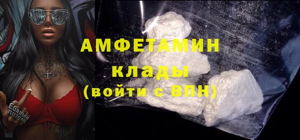 индика Беломорск