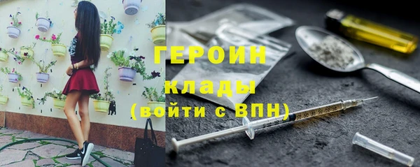 индика Беломорск