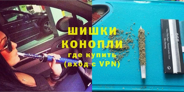 индика Беломорск