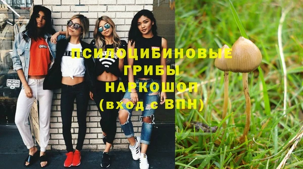 2c-b Белокуриха